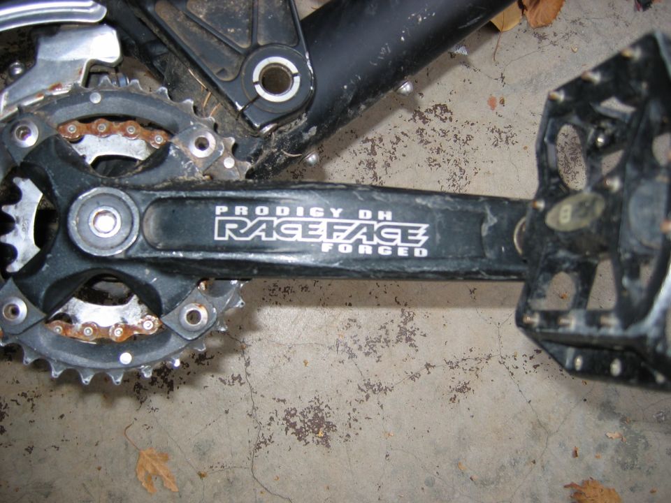 bicycle crankset with 'Race Face Prodigy DH Forged' logo and pedals