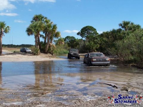 1987 Ford Bronco - Palm Tree Crossing