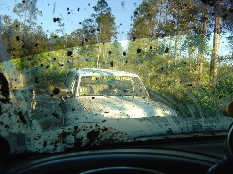 1993 Ford Bronco - Pickup truck stuck in mud during off-road excursion, windshield covered in mud splatters.