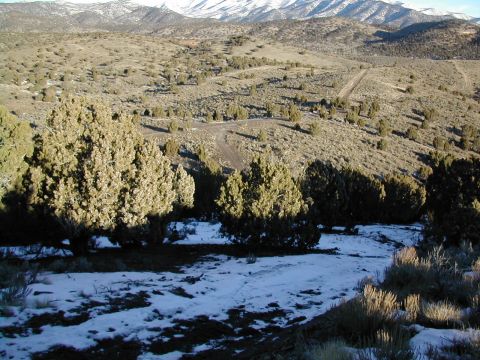 1994 Ford Bronco - Winter scene in a mountainous area with snow on the ground and trees. A dirt road winds through the hills.