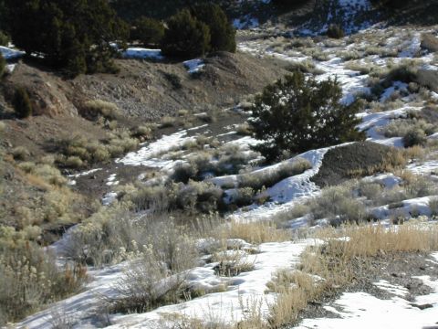1994 Ford Bronco - A winter scene unfolds across a barren hillside dotted with snow and dry vegetation.