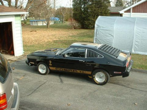 1978 Ford Mustang II - A black 1978 Ford Mustang II Cobra II is parked in a driveway next to a garage and a large storage tent.