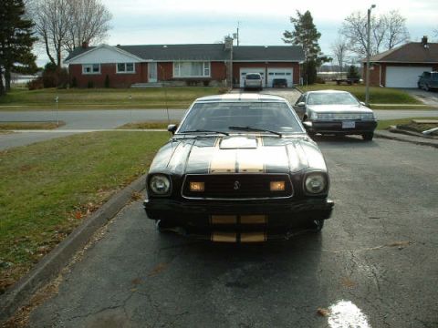 1978 Ford Mustang II - Front view of a black 1978 Ford Mustang II with gold racing stripes.