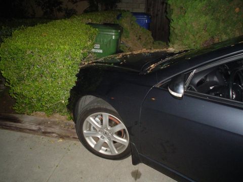 1993 Ford Taurus - A dark sedan is partially obscured by bushes and parked near trash cans.