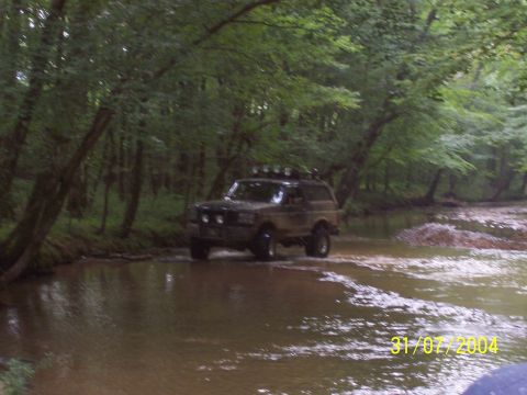 1979 Ford F-150 - Ford Bronco navigating a water crossing surrounded by dense forest foliage.