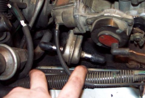 1985 Ford Crown Victoria LTD - Engine bay components, including hoses and carburetor, with fingers in the foreground.