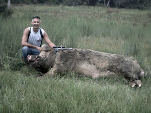 1978 Ford Bronco - Hunter poses with a large wild boar that has a rifle scope attached.