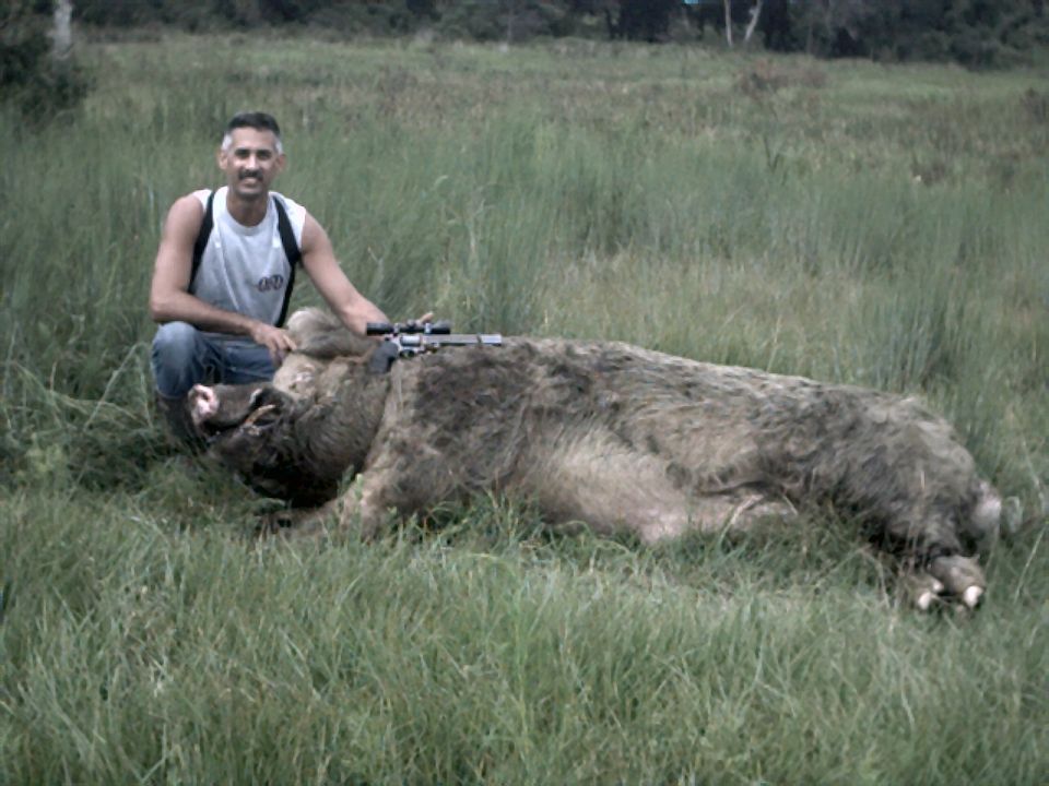 Hunter with dead wild boar and rifle scope