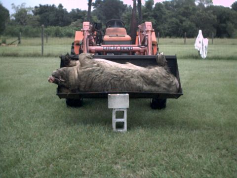 1978 Ford Bronco - Tractor with a dead animal in its loader bucket, supported by cinder blocks.
