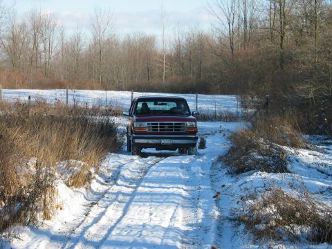 1995 Ford Bronco - 1995 Ford Bronco navigating a snow-covered path through a wooded area.