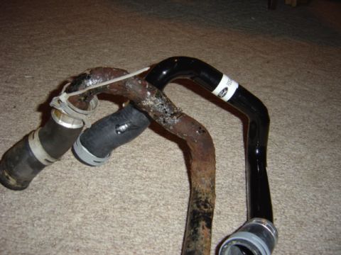 1998 Ford Taurus - Close-up of two automotive radiator hoses, one showing significant rust and wear, the other appearing newer.