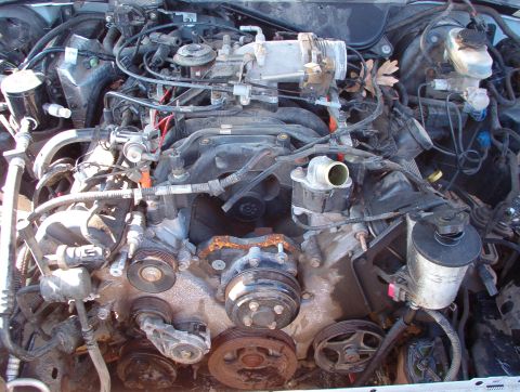 1994 Ford Crown Victoria - The donor 2000 Grand Marquis M74. I had already started unhooking it, but the alternator, DPFE, EVR, and MAF were missing when I got to it.…