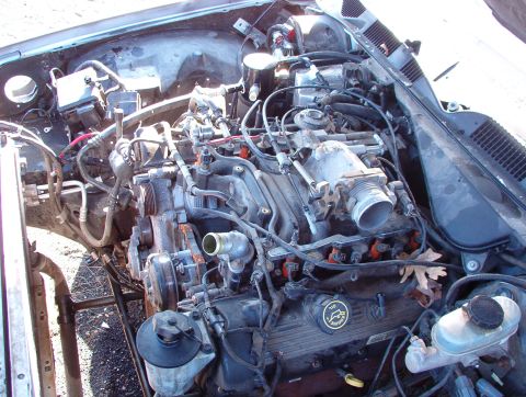 1994 Ford Crown Victoria - Someone snagged the fan before I got here.