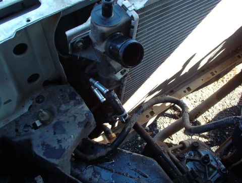1994 Ford Crown Victoria - Close-up view of engine bay components, including hoses and part of the radiator.