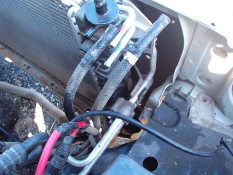 1994 Ford Crown Victoria - Close-up view of engine bay components, including hoses and wiring.