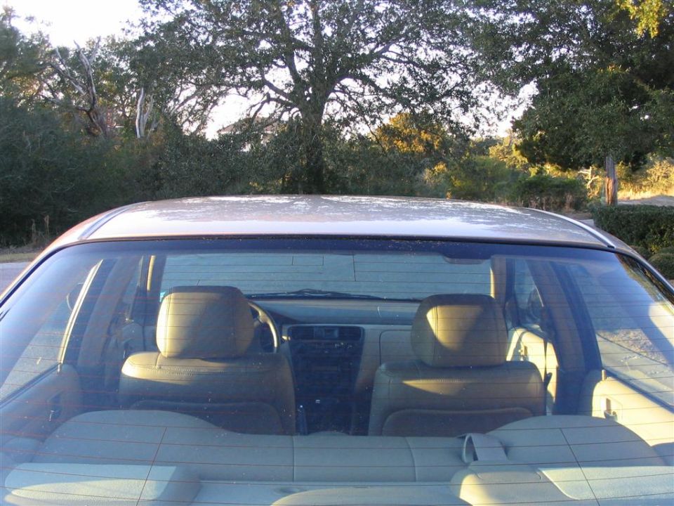 Rear window view into sedan interior with tan seats and trees behind