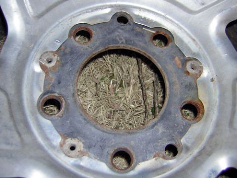 1995 Ford Bronco - not a single piece wheel...the finish is on a seperate piece of metal..see the lip?