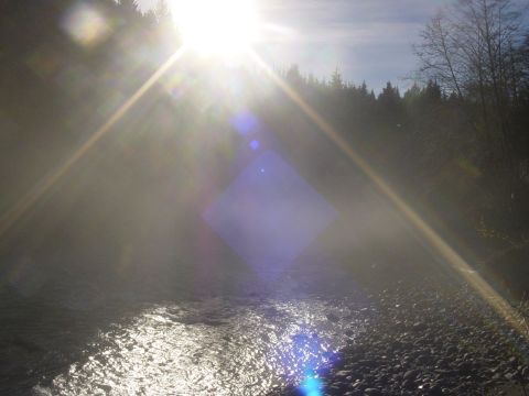 1987 Ford Bronco - Sun glare over a riverbank with trees in the background. Supermotors.net logo visible.