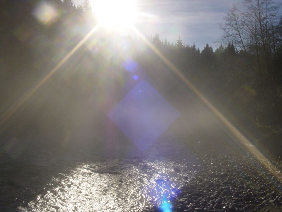 Riverbank with trees and bright sun glare, SUPERMOTORS.NET logo in corner