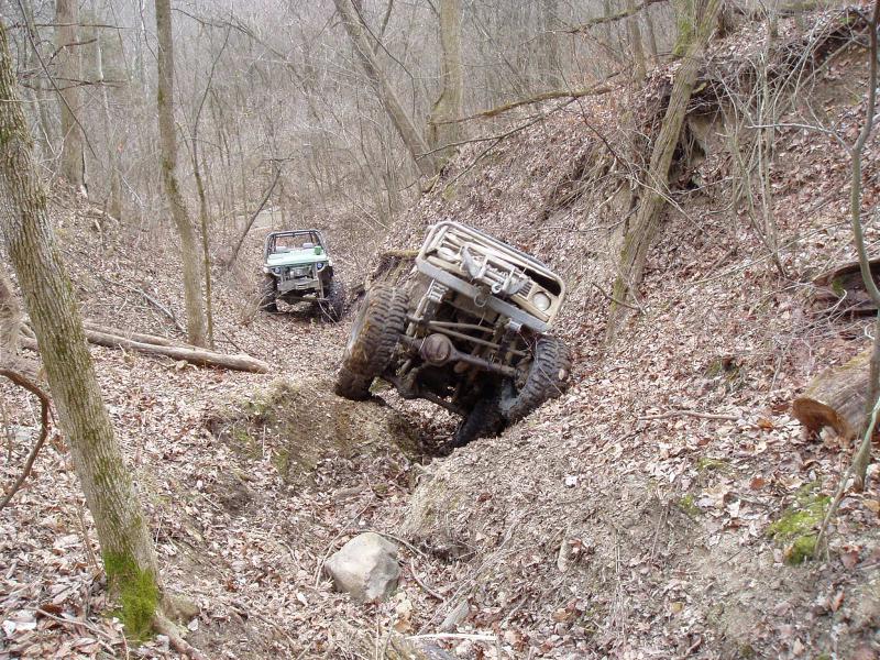 Two off-road vehicles are driving down a steep, leaf-covered ravine in a wooded area