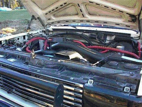 1988 Ford Bronco - Engine pic