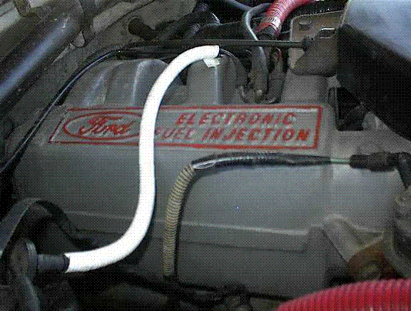 Engine bay close-up of Ford Electronic Fuel Injection intake manifold with white hose across it