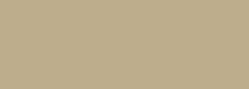 1988 Ford Bronco - A plain tan background with no discernible objects or features.