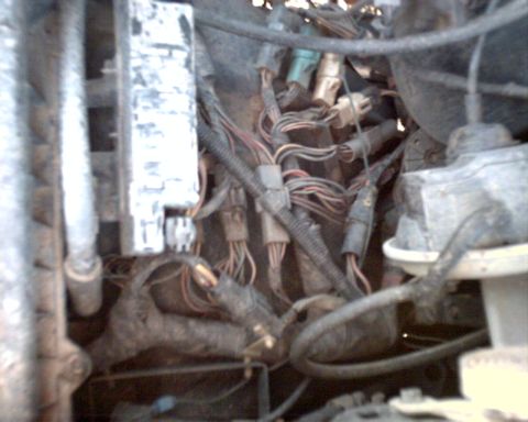 1990 Ford Bronco - Close-up view of a complex engine wiring harness with many connectors and wires.