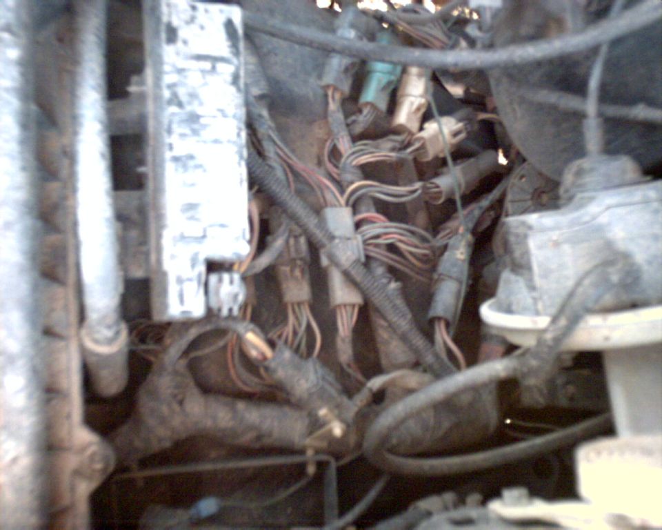 Engine bay wiring harness with multiple connectors and bundles of wires