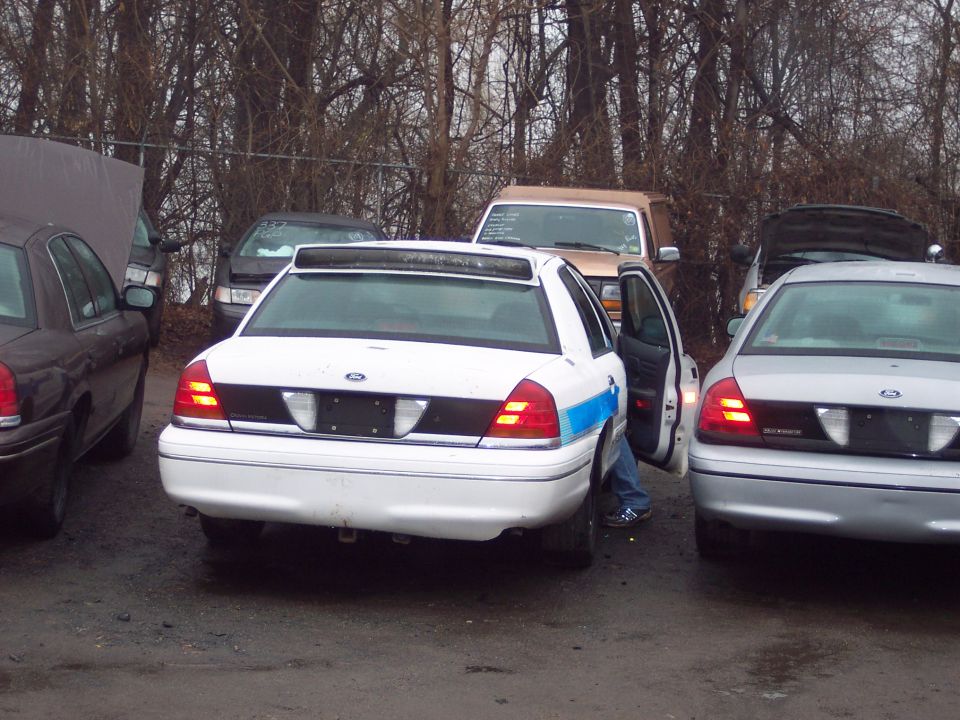 Rear view of white police car with blue stripe, parked next to silver police car. Person is getting out of white car