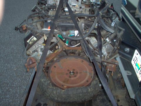1994 Ford Crown Victoria - '00 MGM engine
