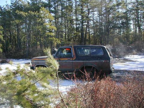 1979 Ford Bronco II photo