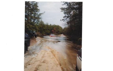 1979 Ford Bronco - Multiple vehicles navigate a flooded dirt road surrounded by trees.