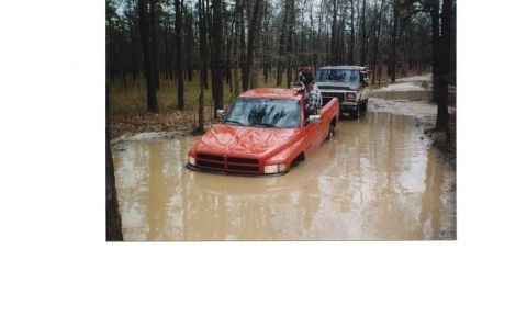 1979 Ford Bronco - Two trucks navigate a muddy, waterlogged path through a forest, with the lead truck partially submerged.
