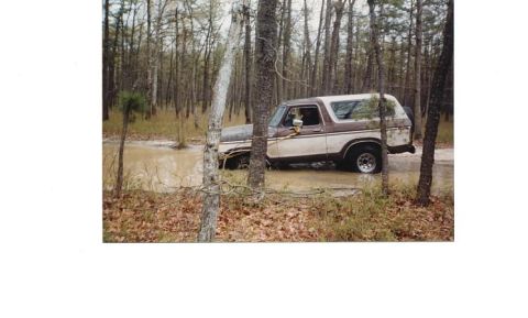 1979 Ford Bronco - This 1978 Ford Bronco is stuck in the mud while driving through a wooded area.