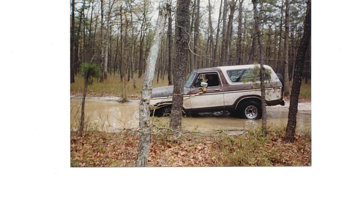 Brown and white Ford Bronco stuck in a muddy wooded area