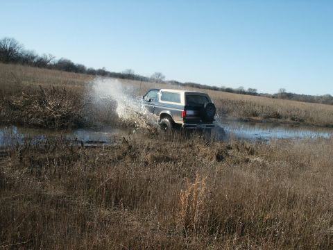 1991 Ford Bronco - Three-quarter rear view of a dark Ford Bronco with a white hardtop running through standing water in a dry-grass field, front tire throwing…