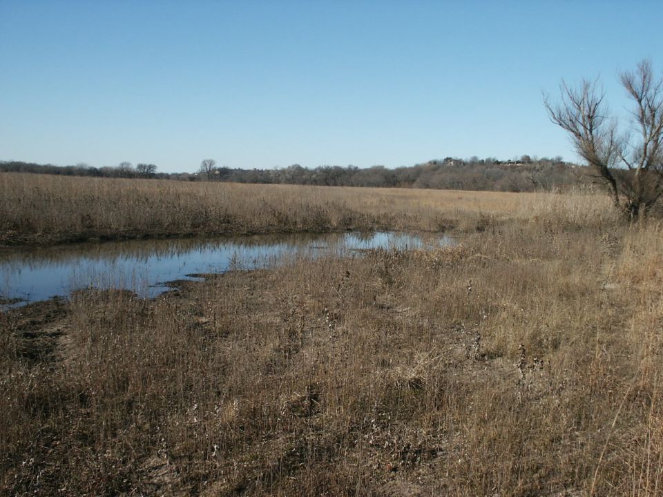Dry grass field with a small pond under a clear blue sky. Some trees are visible in the distance