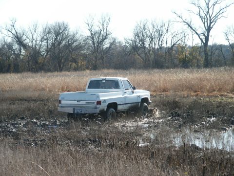 1991 Ford Bronco - A white pickup truck is stuck in a muddy field with dry grass and trees in the background.