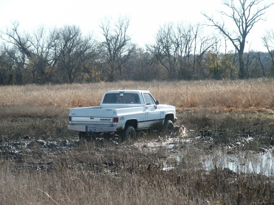 White pickup truck stuck in mud, rear view. Mud splatters on body. Dry grass and trees in background