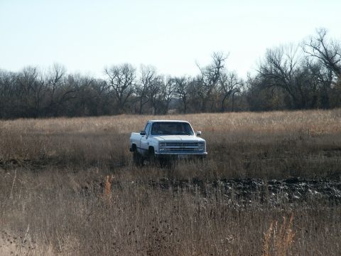 1991 Ford Bronco - White pickup truck driving through a dry, grassy field with bare trees in the background.