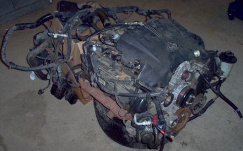 1994 Ford Crown Victoria - '00 MGM engine