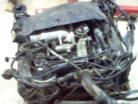 1994 Ford Crown Victoria - '00 MGM engine