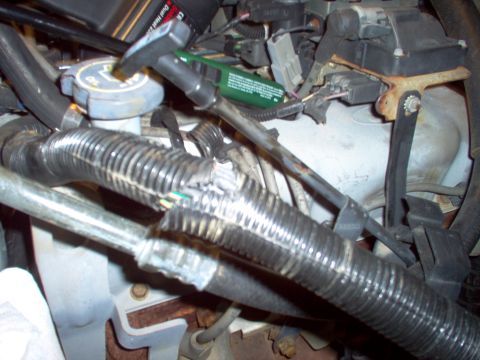 1996 Ford Bronco - The split loom cover only has a slight bulge where all the wires are joined. See the NEXT pic...