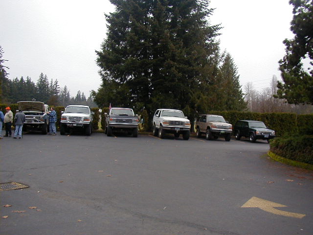 Row of lifted white Ford Broncos and trucks parked along a hedge at a club meetup