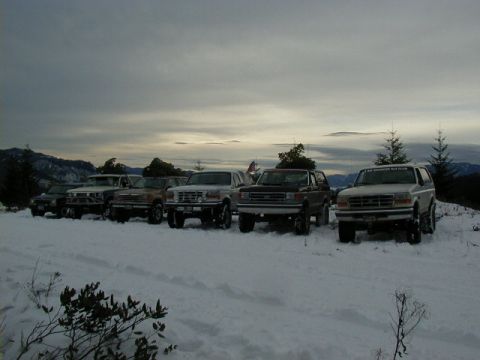 1994 Ford Explorer - A line of Ford Explorer SUVs are parked in a snowy landscape, possibly during a winter event.