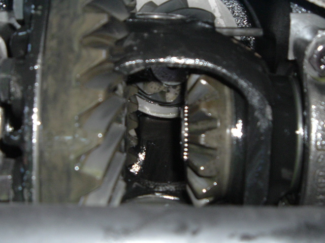 Close-up of differential internals showing ring gear, spider gears and cross shaft wet with oil