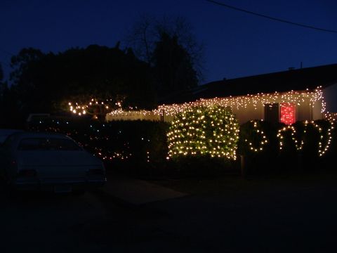 1989 Ford Bronco - merry christmas