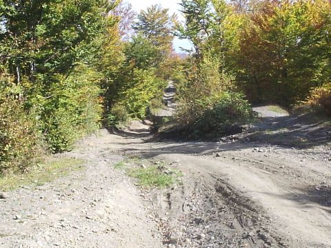 1996 Ford Bronco - This is what the trail looks like going up to Big Duke.