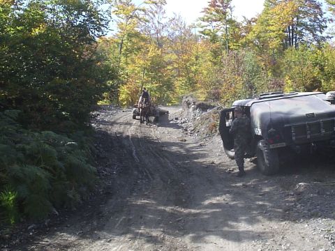 1996 Ford Bronco - Horse pulling cart of wood down the same hill. Horse did not look happy!!